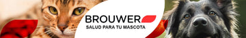 Brouwer