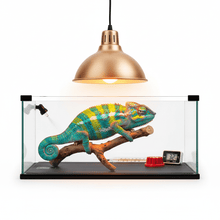 Calefacción para Reptiles - Pethome