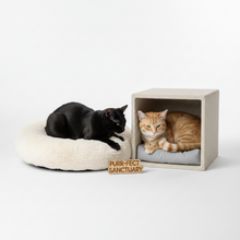 Camas y Casas para Gatos