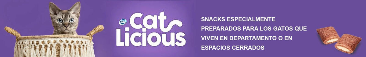 Cat licious - Pethome