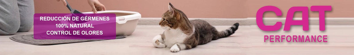 Cat Performance - Pethome