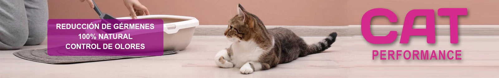 Cat Performance