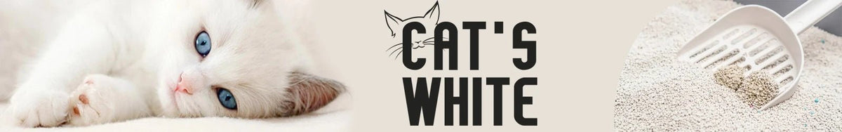 Cat White - Pethome