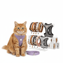 Collares y Arneses para Gatos - Pethome
