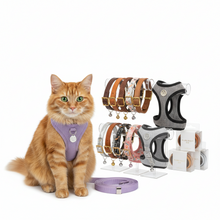 Collares y Arneses para Gatos