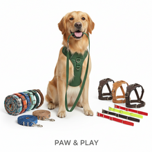 Collares y Arneses para Perros