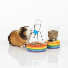Comederos y Bebederos Mascotas Pequeñas - Pethome