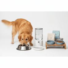 Comederos y Bebederos para Perros - Pethome