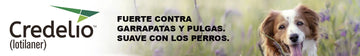 Credelio