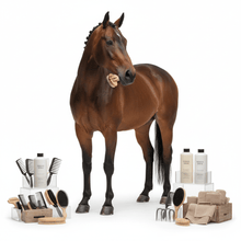 Cuidado Equino - Pethome