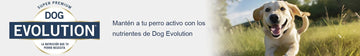 Dog evolution