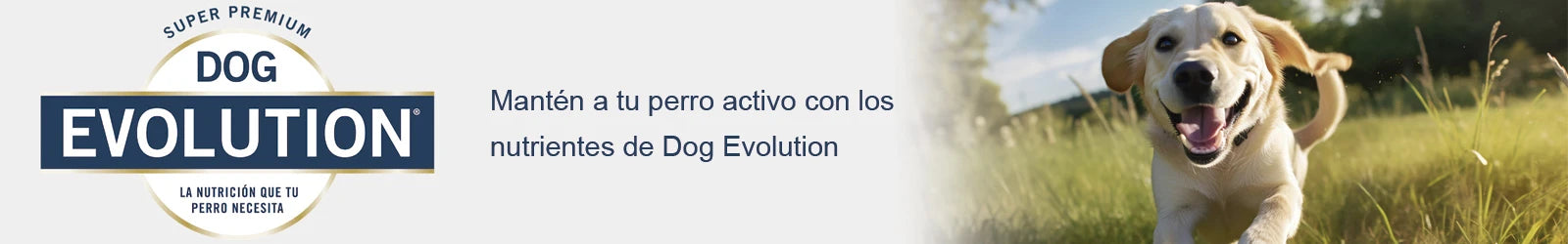 Dog evolution