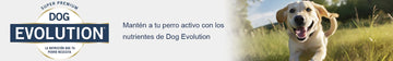 Dog evolution
