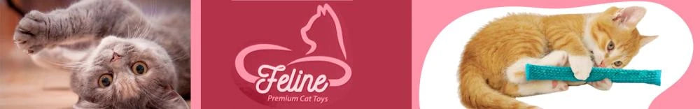 Feline