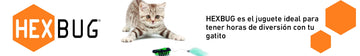 Hexbug