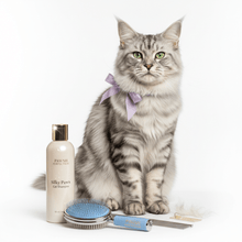 Higiene y Belleza para Gatos - Pethome