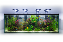 Iluminación para Acuarios