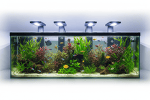 Iluminación para Acuarios - Pethome
