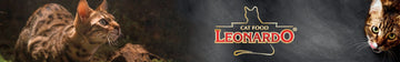 Leonardo