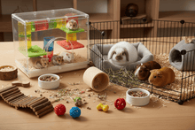 Outlet Mascotas Pequeñas - Pethome