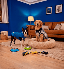 Productos remate - Pethome