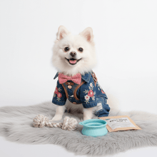 Ropa para Perros - Pethome