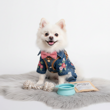 Ropa para Perros