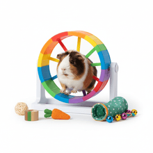 Ruedas y Juguetes Mascotas Pequeñas - Pethome