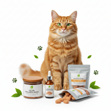 Salud y Suplementos para Gatos