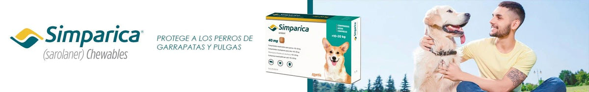 Simparica - Pethome
