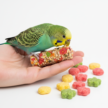 Snacks para Aves