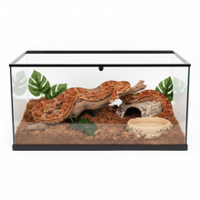 Terrarios para Reptiles - Pethome