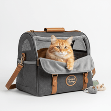 Transportadoras para Gatos - Pethome
