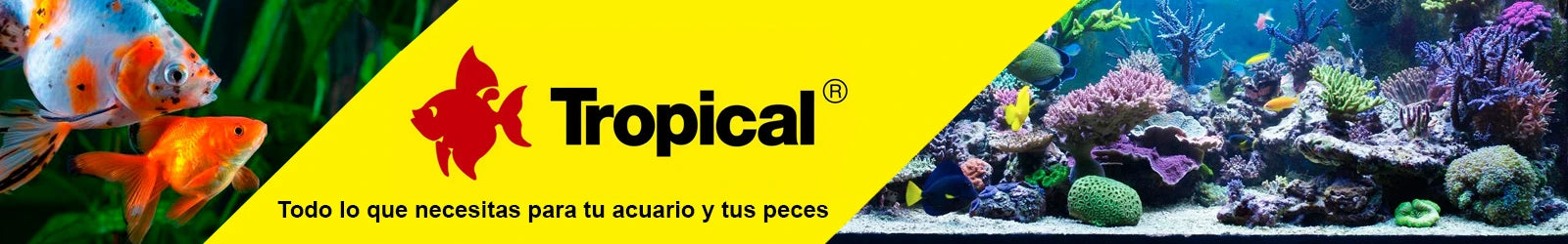 Tropical