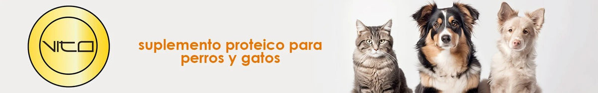 Vito - Pethome