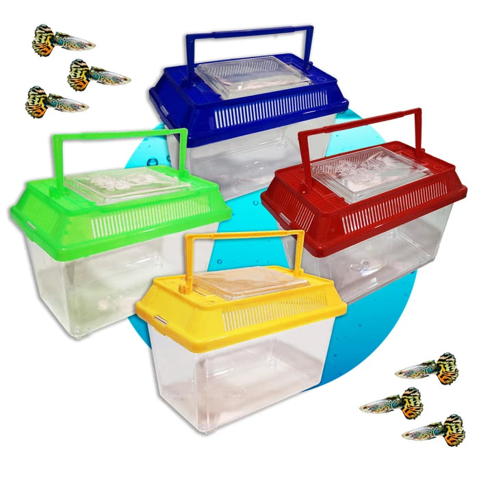 Transportador acrílico peces (18x13x11)