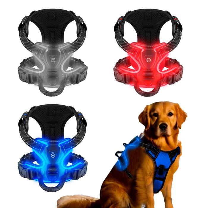 Arnes con luz para perros recargable USB para paseos nocturnos