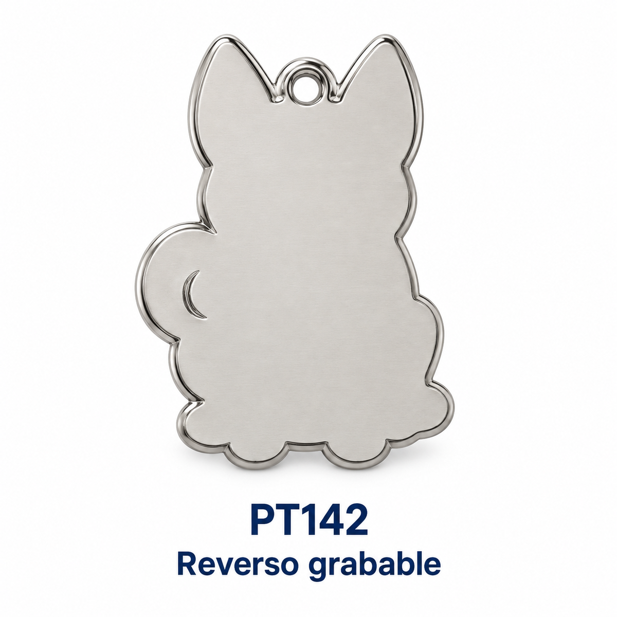PT142 reverso grabable