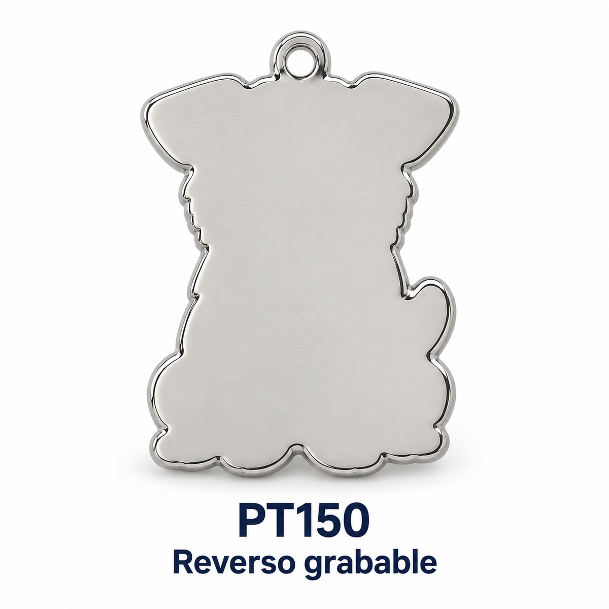 PT150 reverso grabable