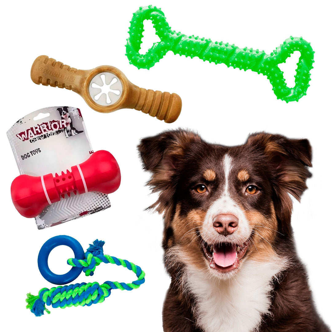 Pack Juguete Perro L - Perros Razas Medianas y Grandes