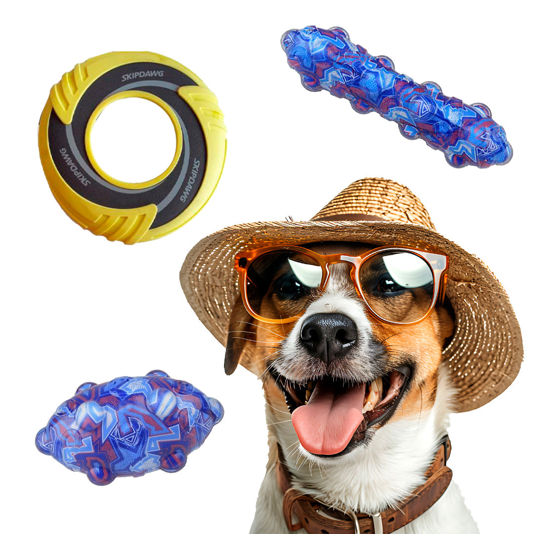Pack Juguete Piscina - Flotadores