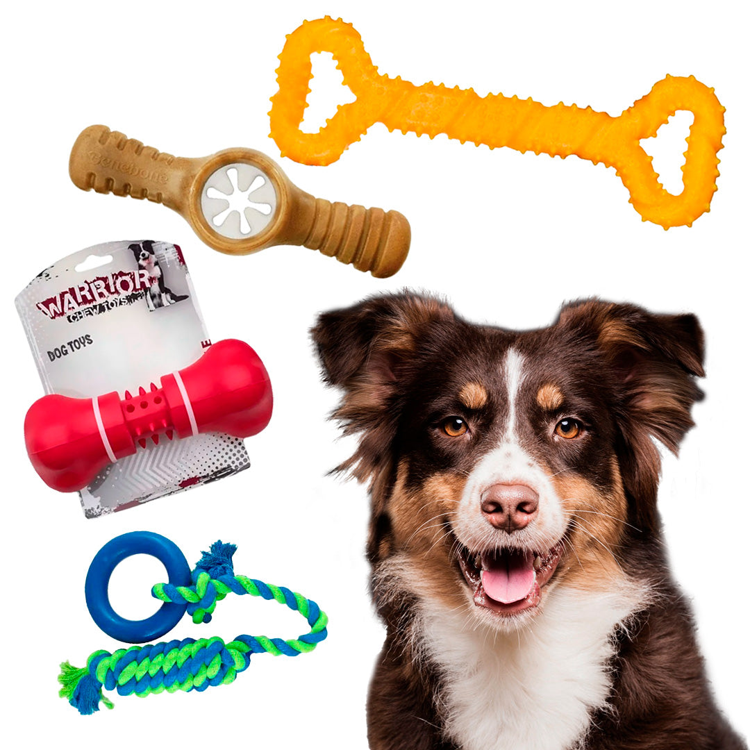 Pack Juguete Perro L - Perros Razas Medianas y Grandes