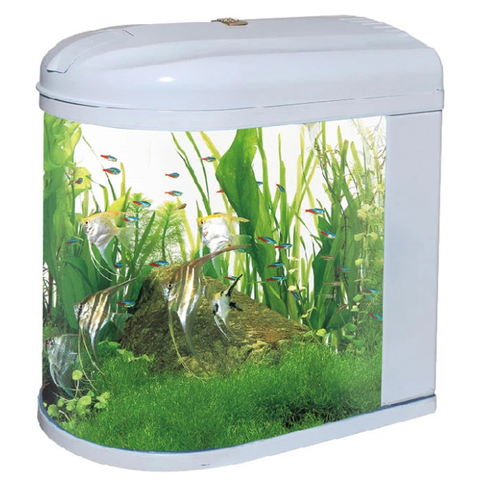 Acuario con luz led 2.5w de 40 Litros - imagen 1