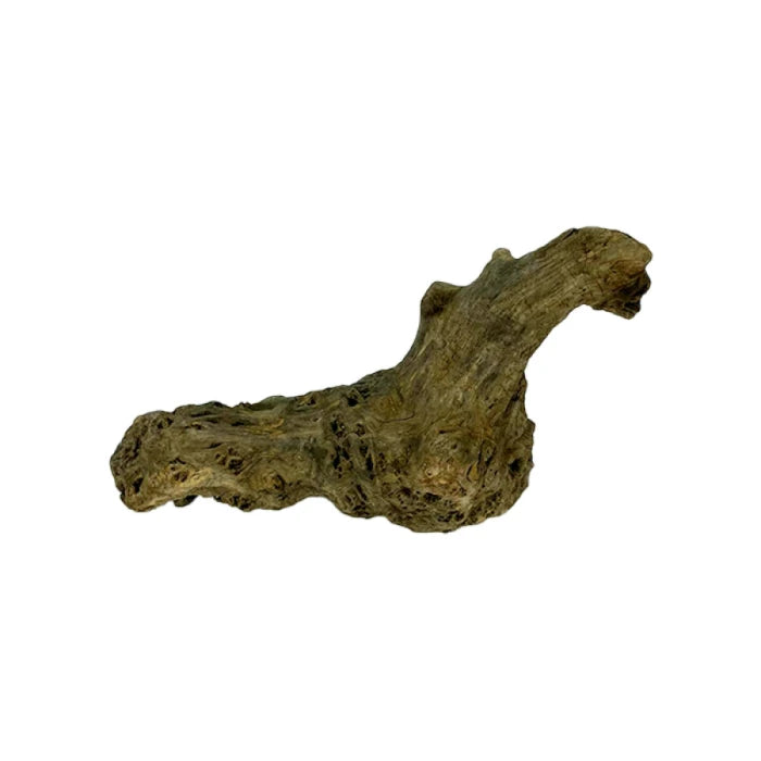 Adorno para Acuario de Madera Natural 30 - 40 cm