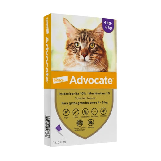 Advocate Pipeta Antipulga Para Gatos de 4 a 8 KG