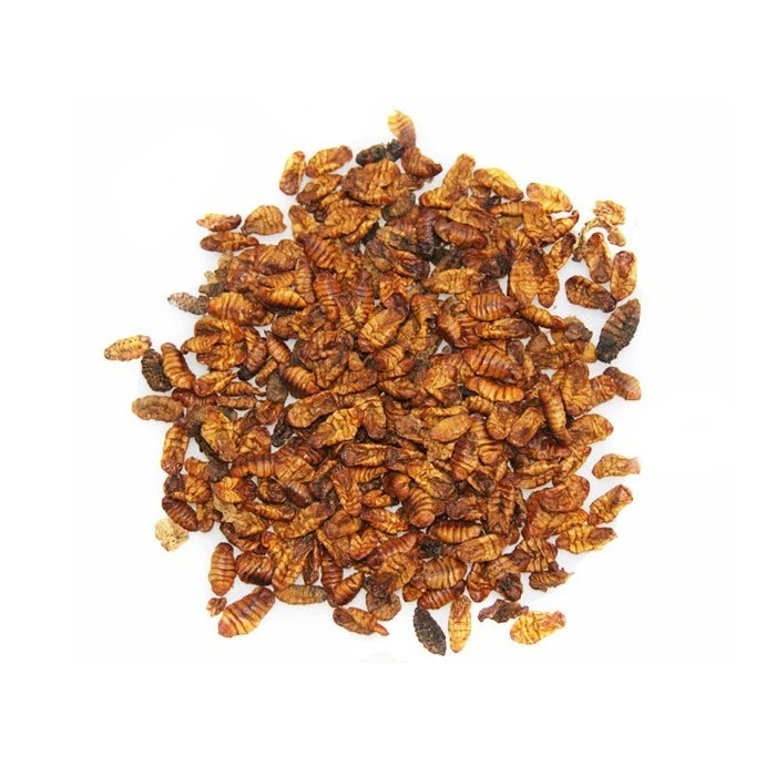 Alimento pupas del gusano de la seda