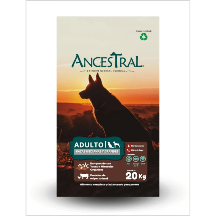 Ancestral Adulto