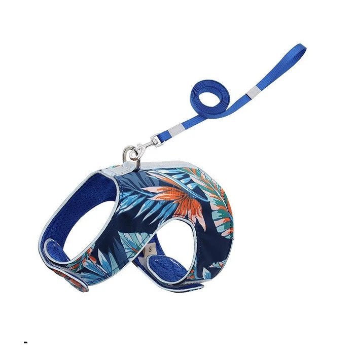 Arnés para Gatos con Correa Azul - Pethome