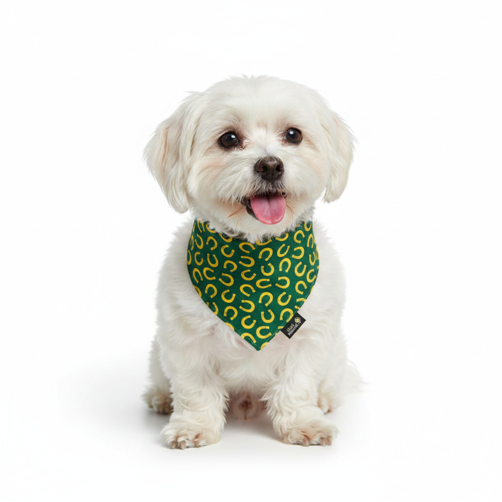 Bandana Verde - Perro