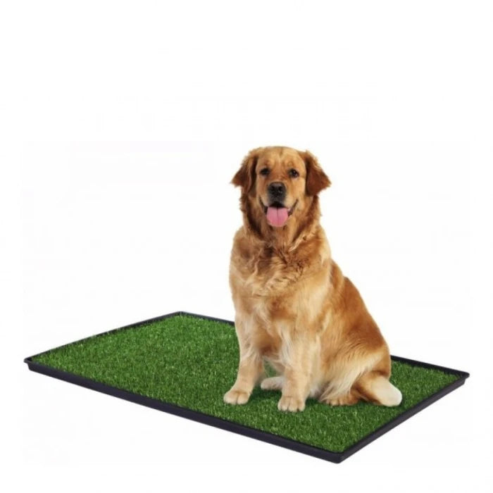 Baño Ecológico Perro Extra Grande